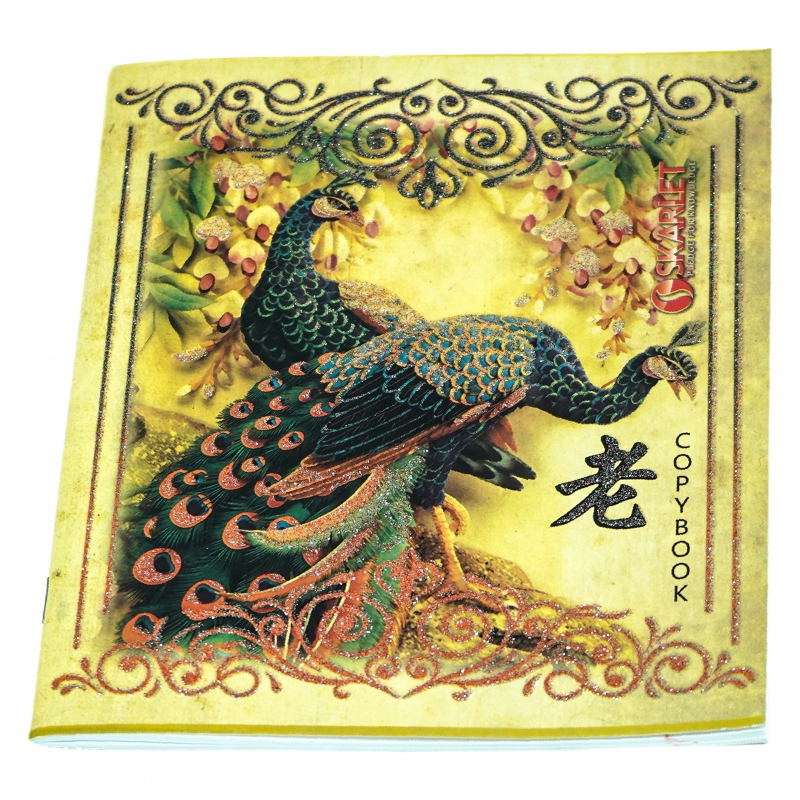 Տետր 48թ Skarlet Լայն Փայլուն 11